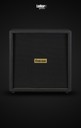 Friedman BE412 4x12 110 Watt Cabinet