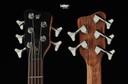 Warwick Teambuilt Pro Series Corvette Ash, 5-String, A/A, Burgundy Red Transparent Satin