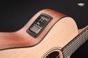 Furch Blue Gc-CM a SPE Master's Choice Cedar Mahogany Grand Auditorium Acoustic Electric Guitar
