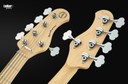 Sadowsky MetroExpress 21-Fret Vintage J/J Maple Ocean Blue Metallic High Polish 5 String Bass