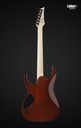 Ibanez GRGR221PA Aqua Burst