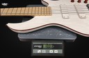 F Bass BN5 Trans White with Bloodwood Binding 5 String Bass