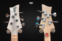 F Bass BN5 Trans White with Bloodwood Binding 5 String Bass